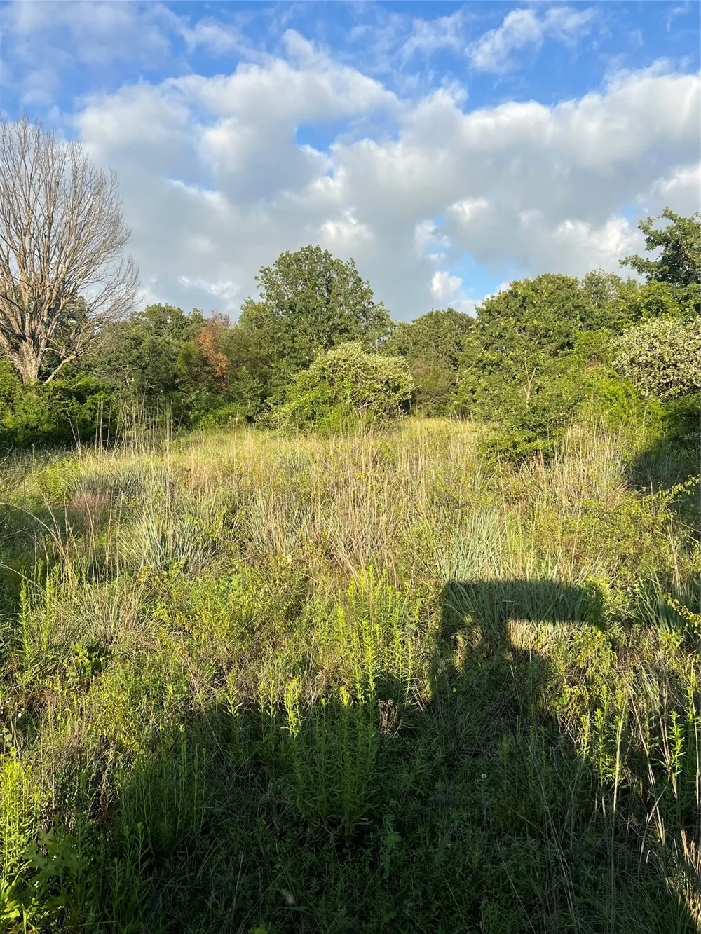 5549 S Fm 730 Decatur, TX 76234