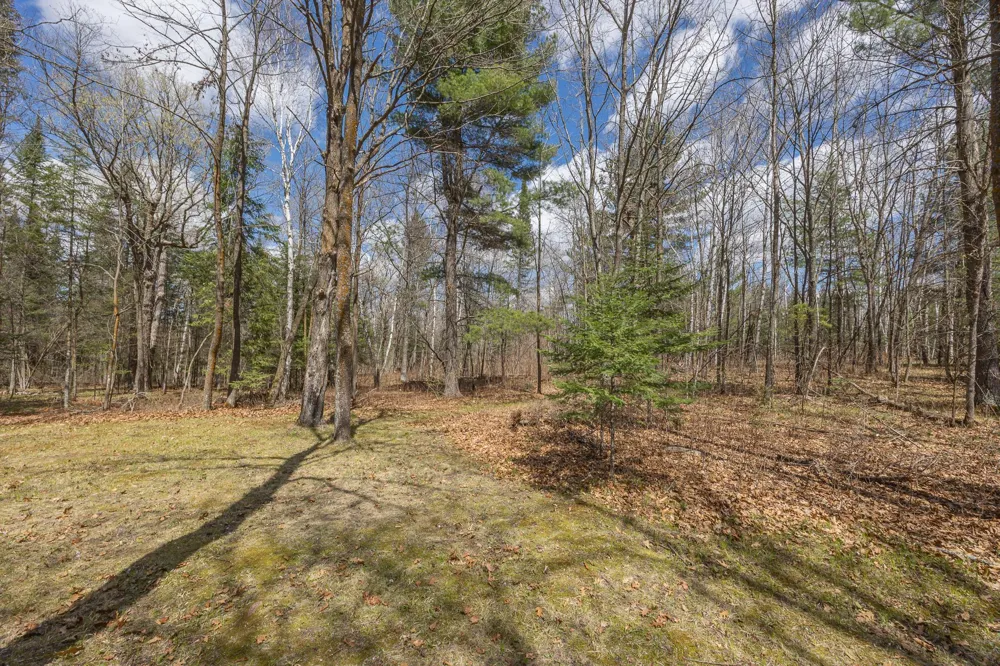 8891 Boy Lake Drive NE Remer, MN 56672