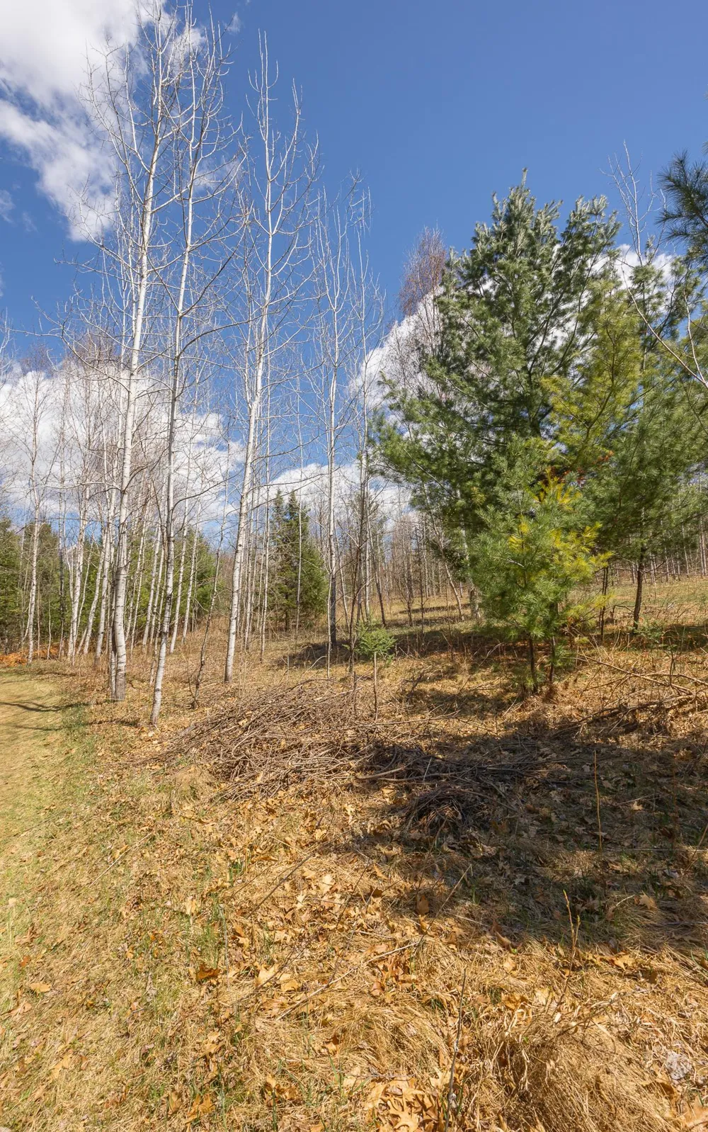 8891 Boy Lake Drive NE Remer, MN 56672