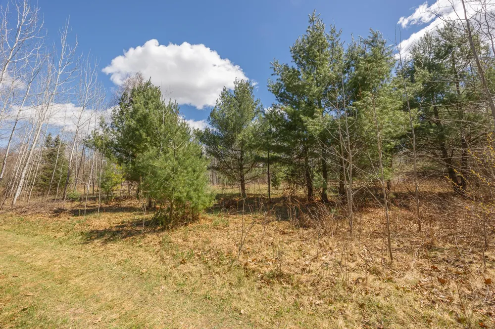 8891 Boy Lake Drive NE Remer, MN 56672