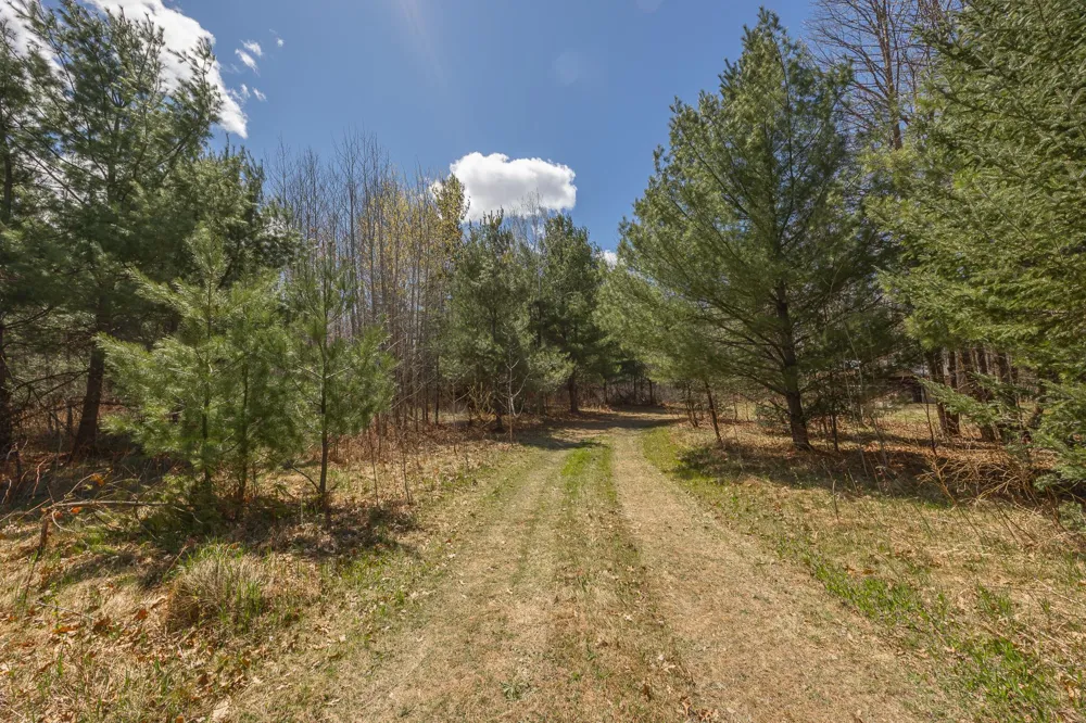 8891 Boy Lake Drive NE Remer, MN 56672