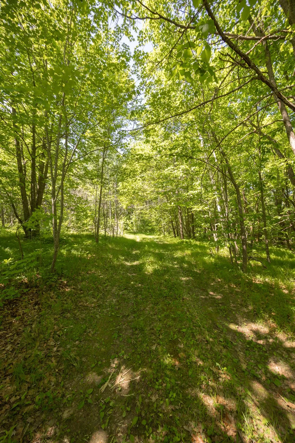 8891 Boy Lake Drive NE Remer, MN 56672