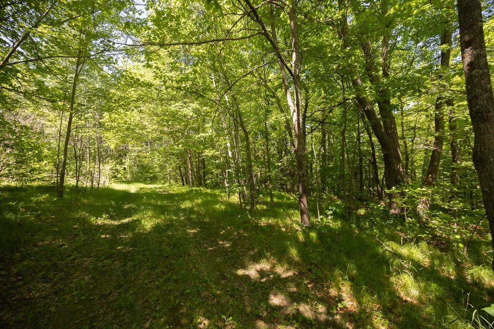 8891 Boy Lake Drive NE Remer, MN 56672