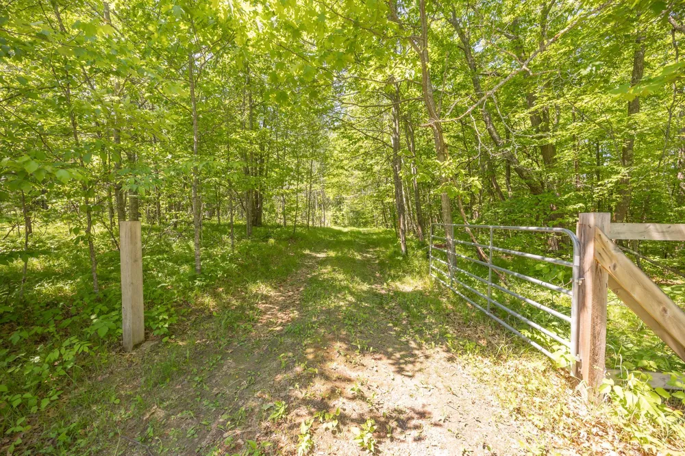 8891 Boy Lake Drive NE Remer, MN 56672