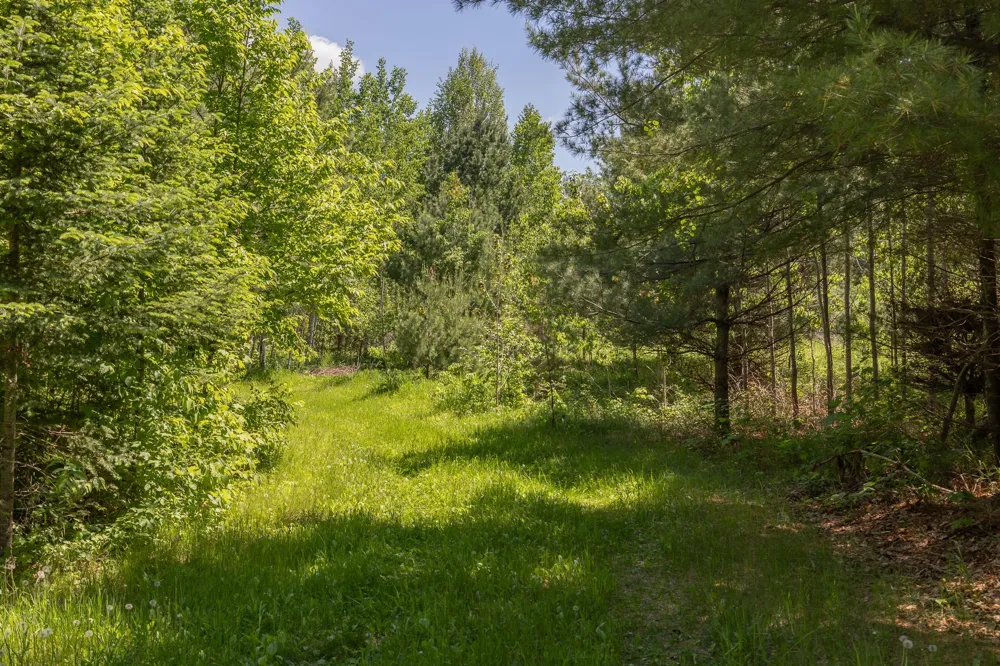 8891 Boy Lake Drive NE Remer, MN 56672