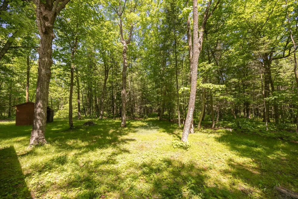8891 Boy Lake Drive NE Remer, MN 56672
