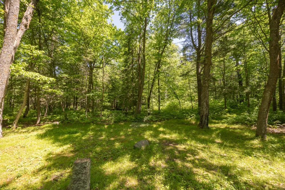8891 Boy Lake Drive NE Remer, MN 56672
