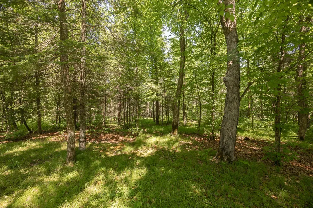 8891 Boy Lake Drive NE Remer, MN 56672