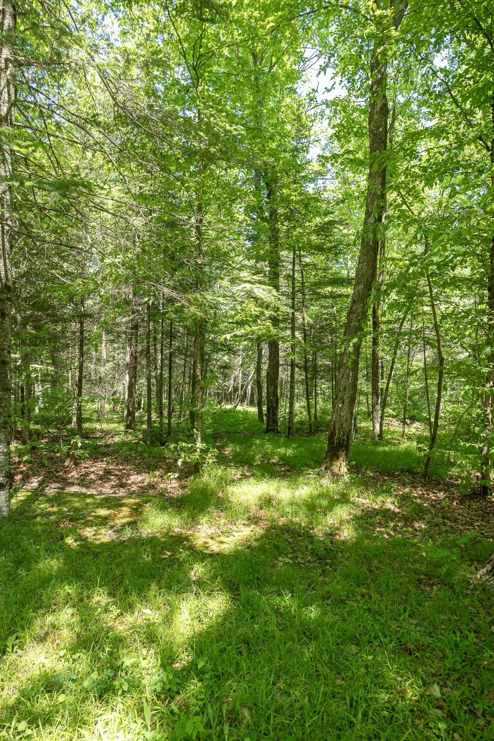 8891 Boy Lake Drive NE Remer, MN 56672