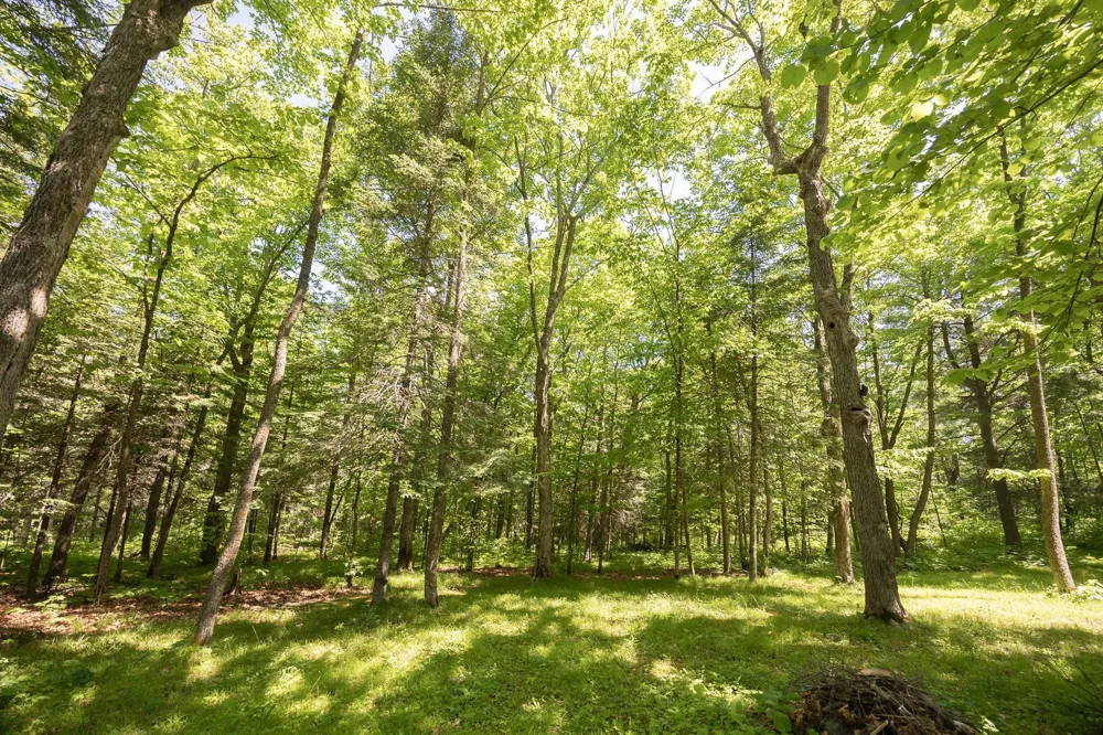 8891 Boy Lake Drive NE Remer, MN 56672
