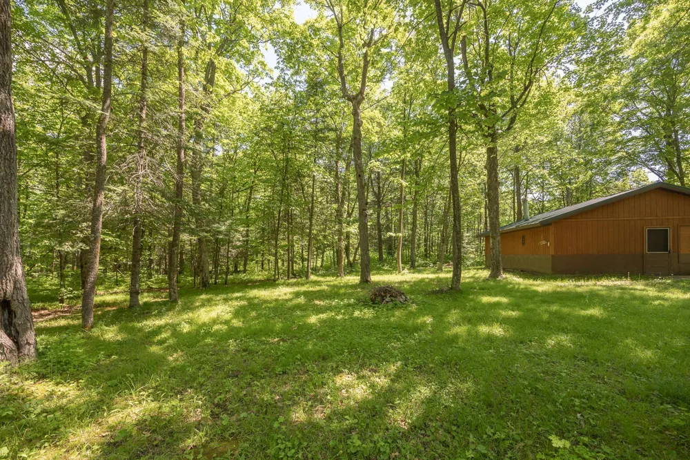 8891 Boy Lake Drive NE Remer, MN 56672
