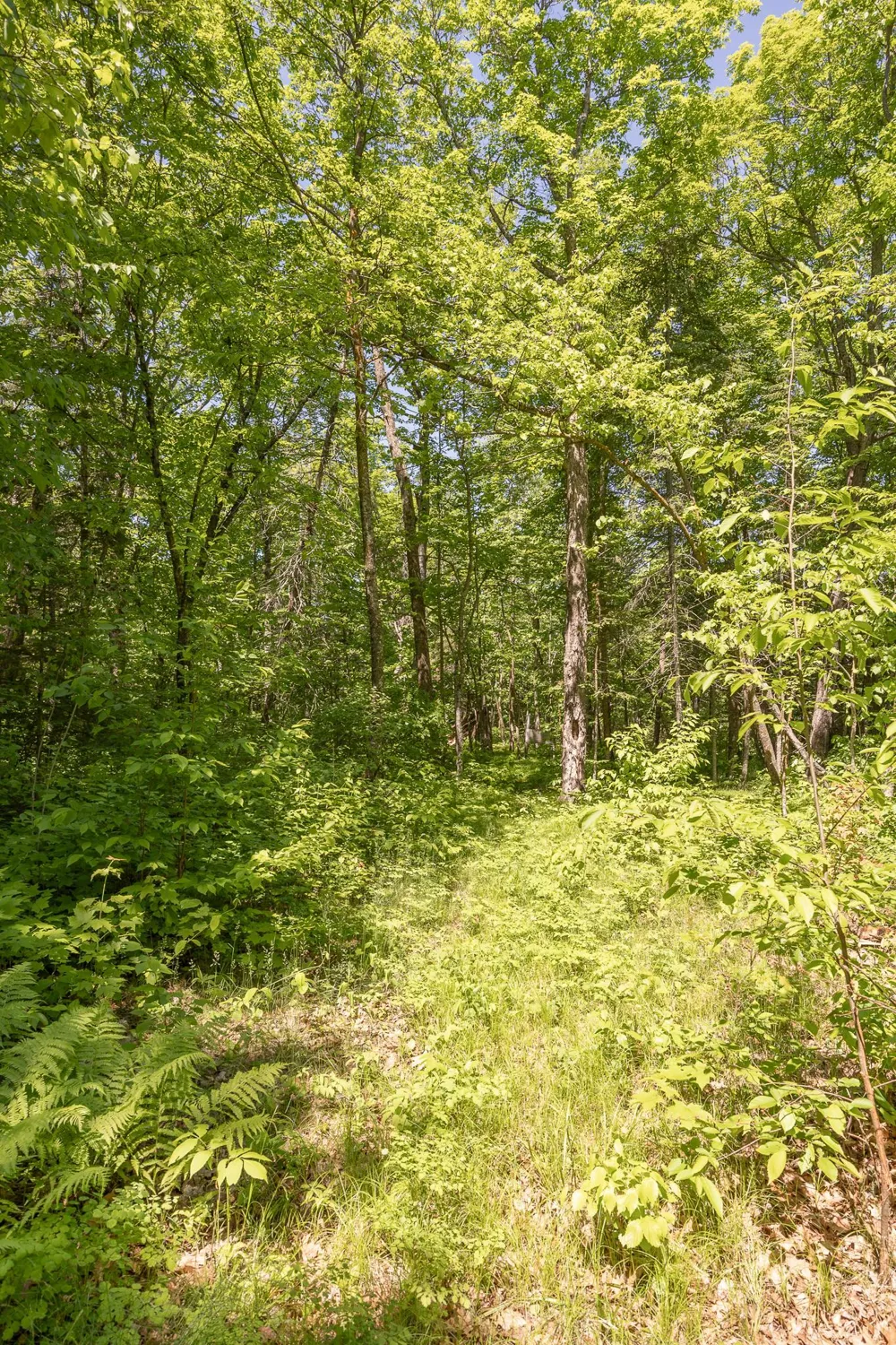 8891 Boy Lake Drive NE Remer, MN 56672
