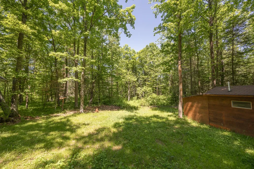 8891 Boy Lake Drive NE Remer, MN 56672