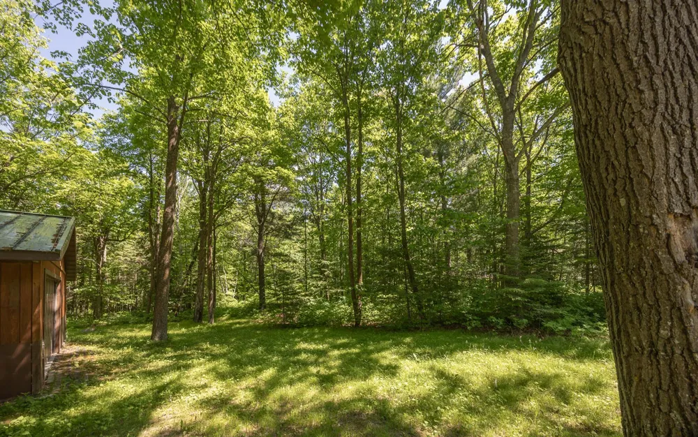 8891 Boy Lake Drive NE Remer, MN 56672