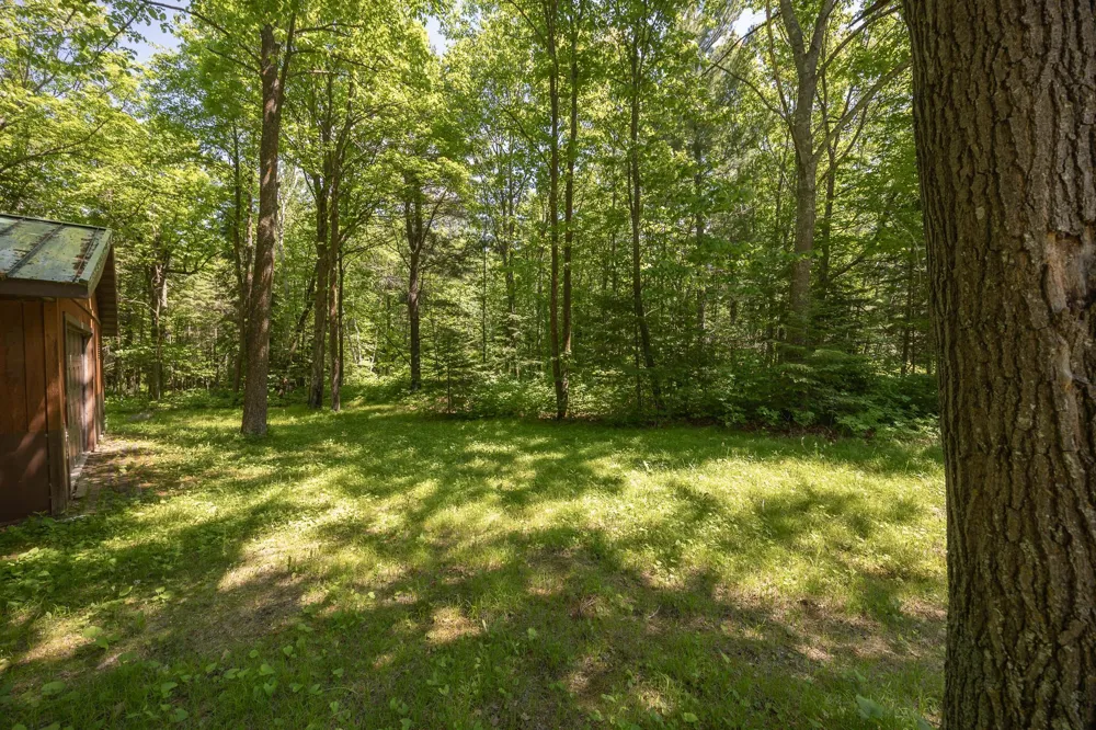 8891 Boy Lake Drive NE Remer, MN 56672
