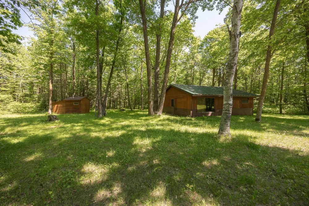 8891 Boy Lake Drive NE Remer, MN 56672