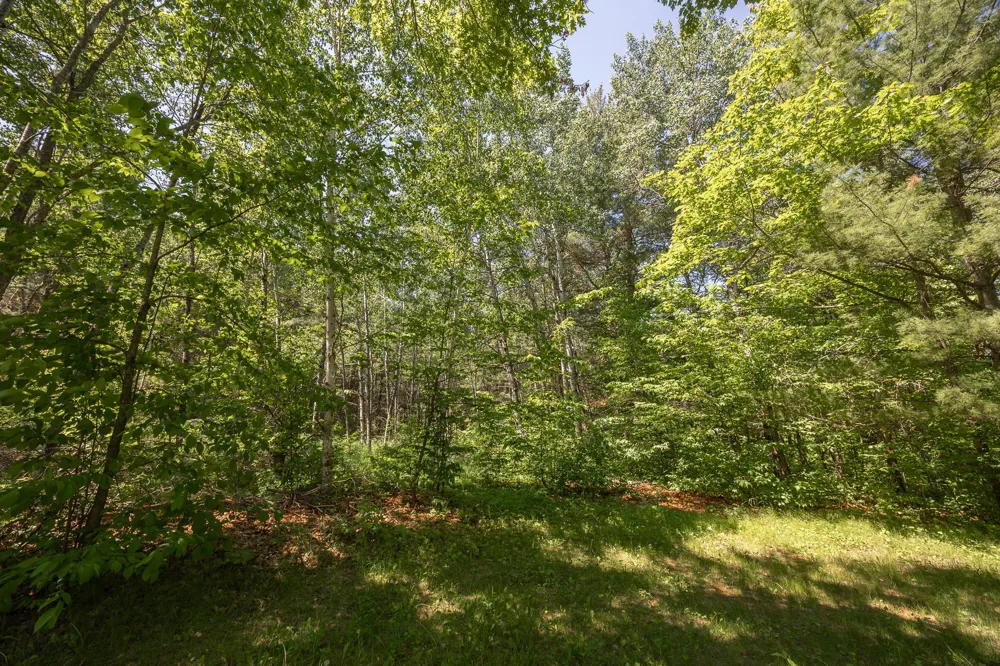 8891 Boy Lake Drive NE Remer, MN 56672