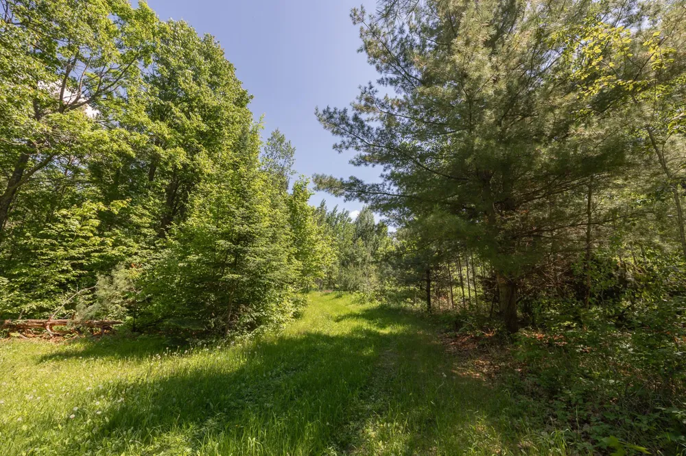 8891 Boy Lake Drive NE Remer, MN 56672