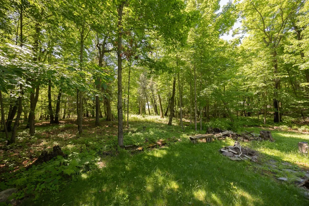 8891 Boy Lake Drive NE Remer, MN 56672