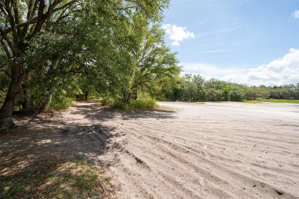 SE 53 COURT Trenton, FL 32693