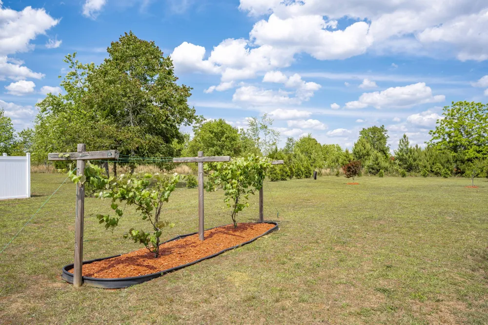 3528 Council Road Blythe, GA 30805
