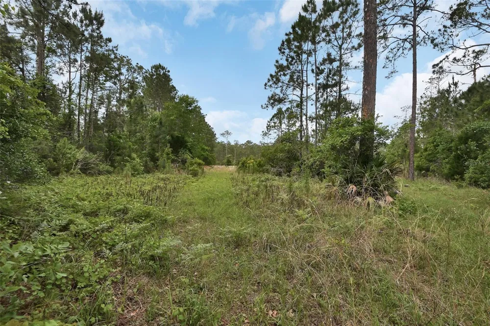 0 W SR 40 HIGHWAY Ormond Beach, FL 32174
