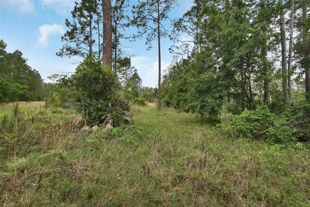 0 W SR 40 HIGHWAY Ormond Beach, FL 32174