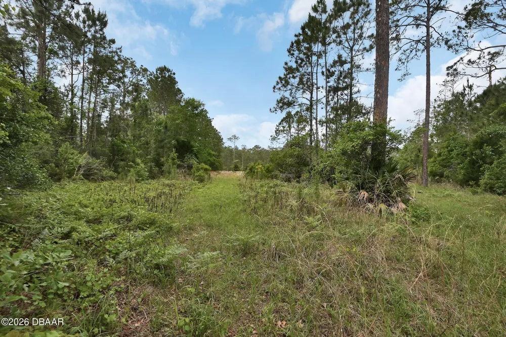 W Sr 40 Ormond Beach, FL 32174