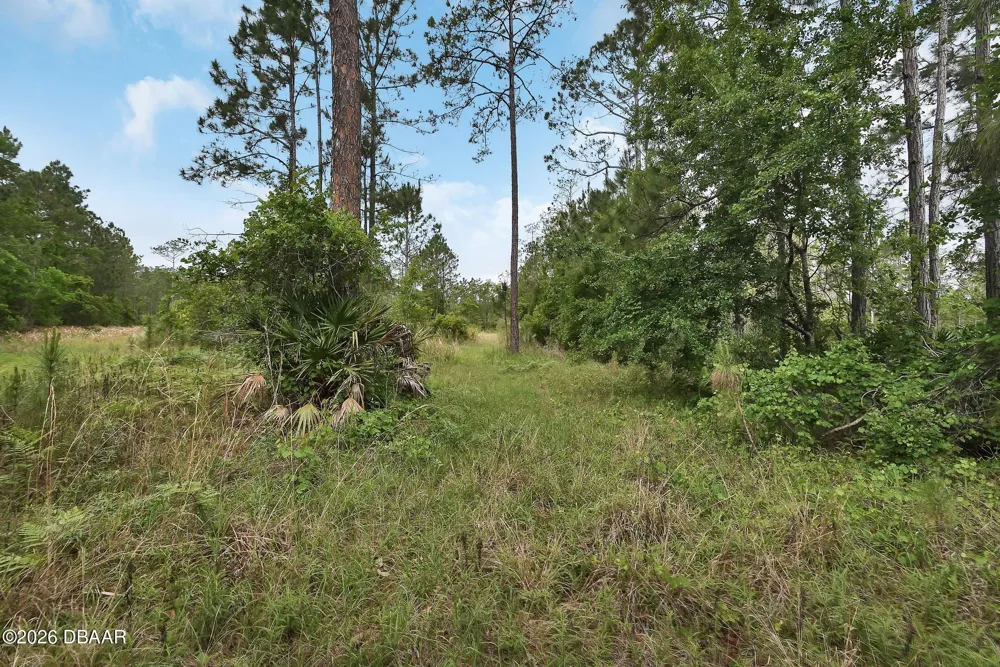 W Sr 40 Ormond Beach, FL 32174