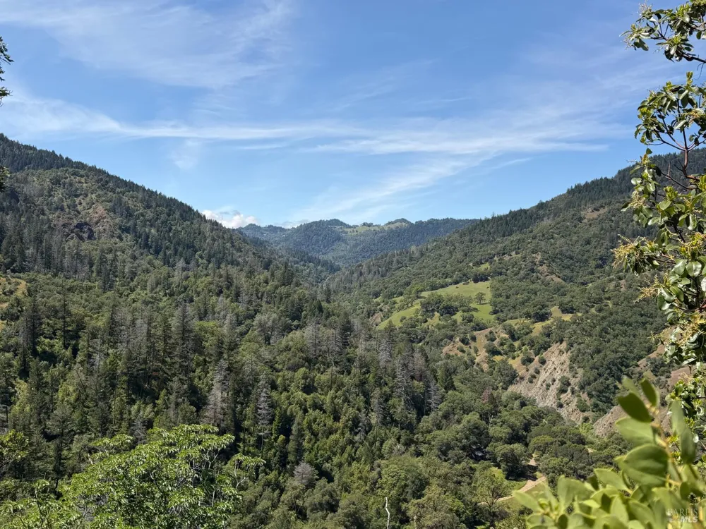10150 Woodman Creek Road Laytonville, CA 95428