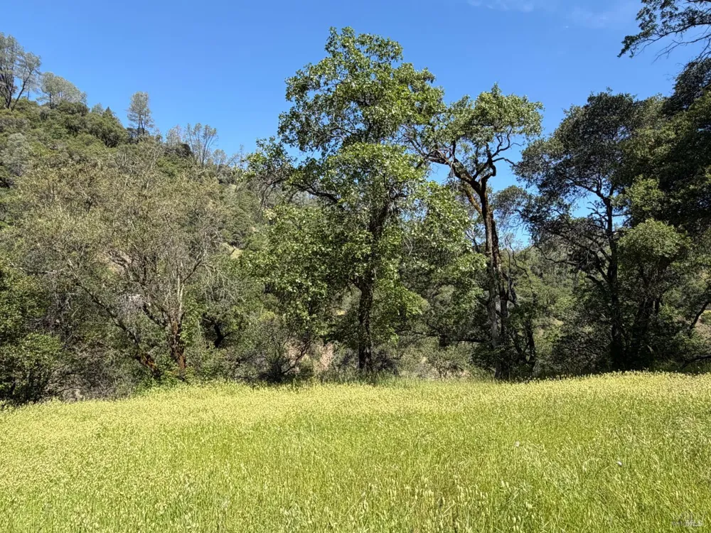 10150 Woodman Creek Road Laytonville, CA 95428