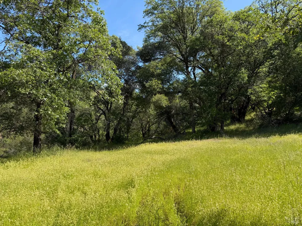 10150 Woodman Creek Road Laytonville, CA 95428