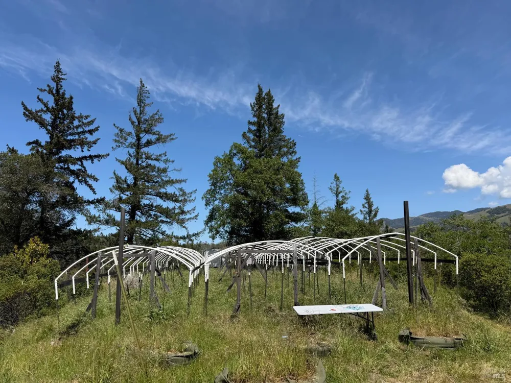 10150 Woodman Creek Road Laytonville, CA 95428
