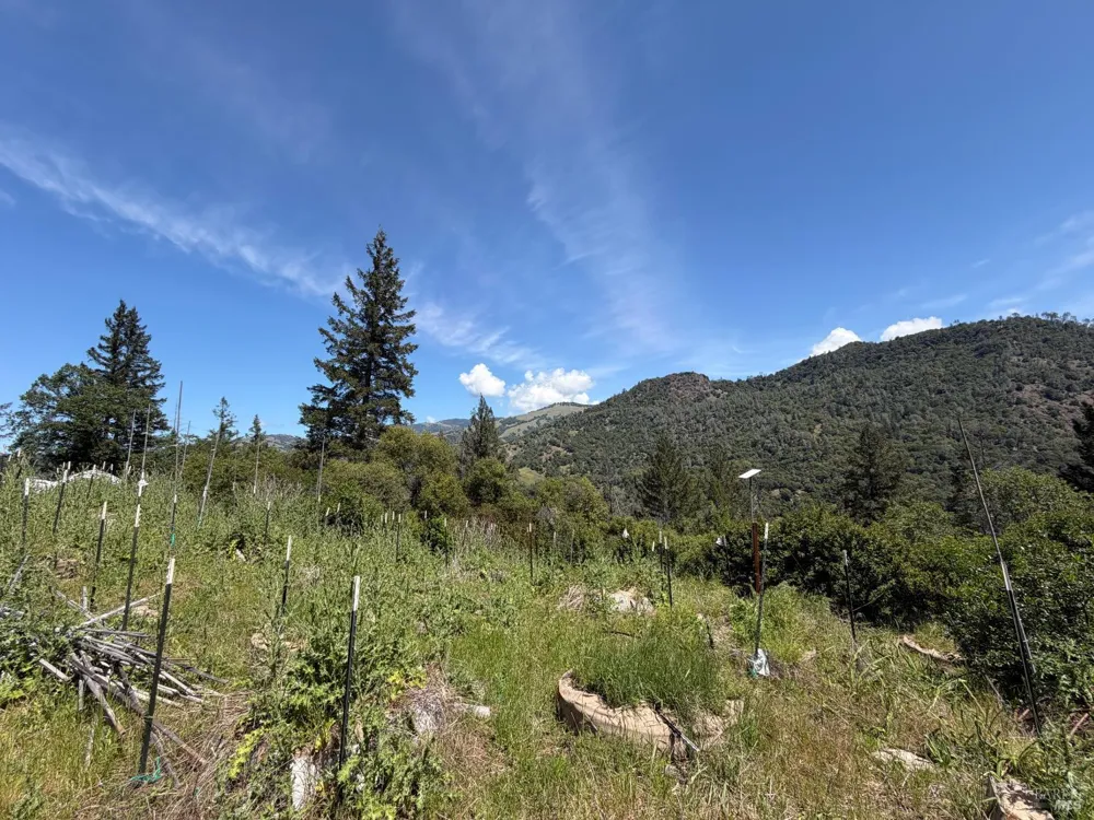 10150 Woodman Creek Road Laytonville, CA 95428