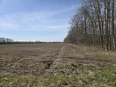 Weber (Lot B) Road