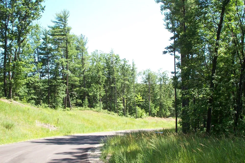 6366 Cedarmere Peninsula Township, MI 49686