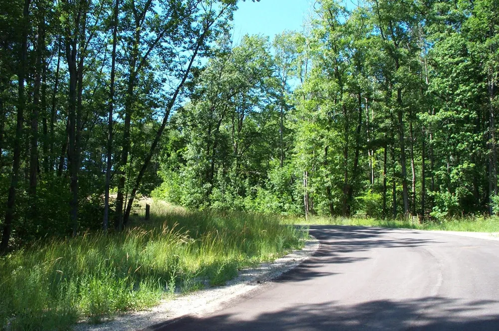 6366 Cedarmere Peninsula Township, MI 49686