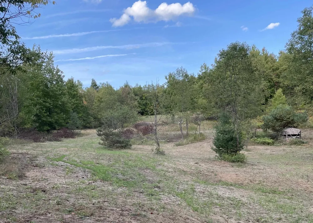 Peterson Road Custer Township, MI 49659