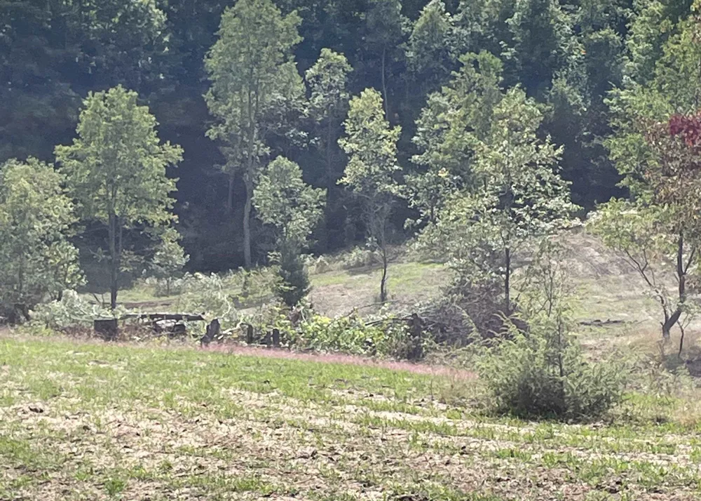 Peterson Road Custer Township, MI 49659