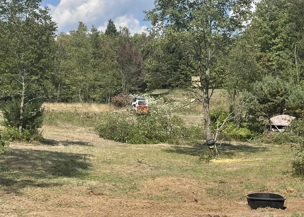 Peterson Road Custer Township, MI 49659