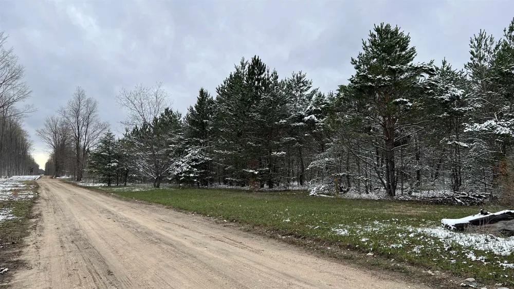 Peterson Road Custer Township, MI 49659