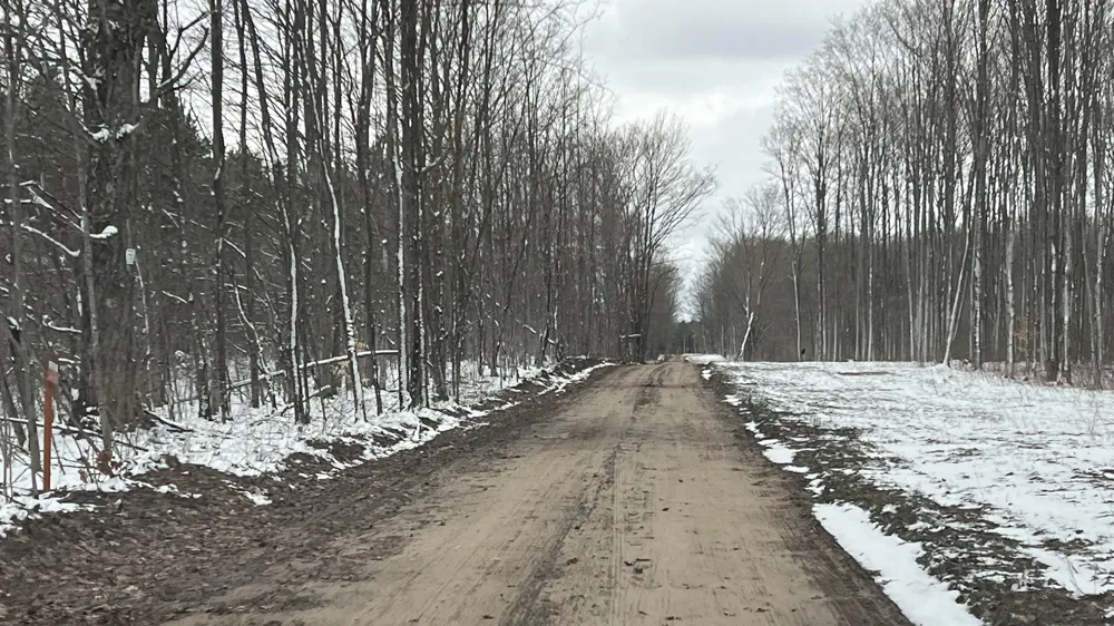 Peterson Road Custer Township, MI 49659