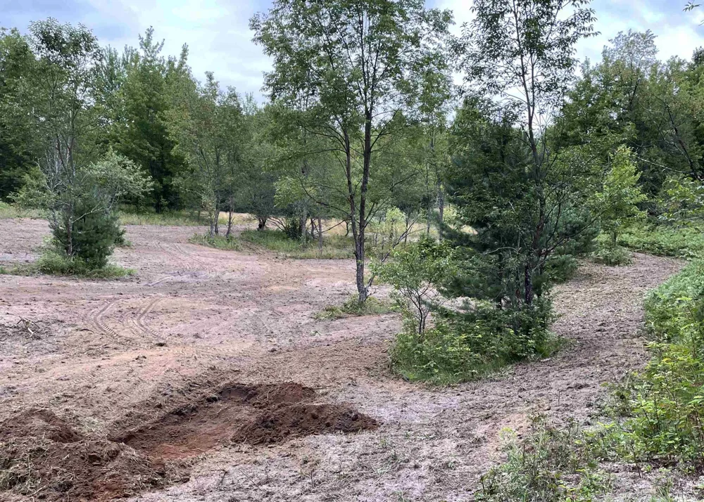 Peterson Road Custer Township, MI 49659