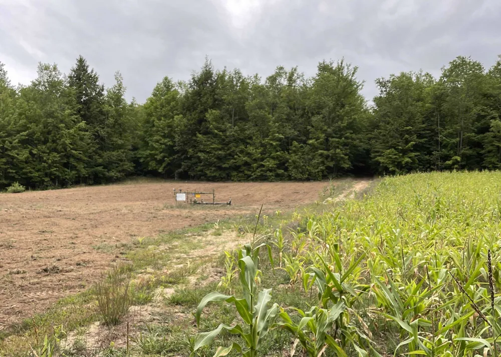 Peterson Road Custer Township, MI 49659