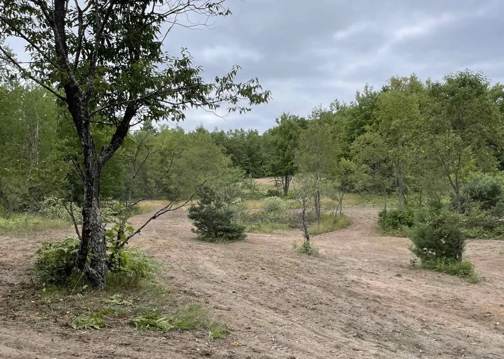 Peterson Road Custer Township, MI 49659