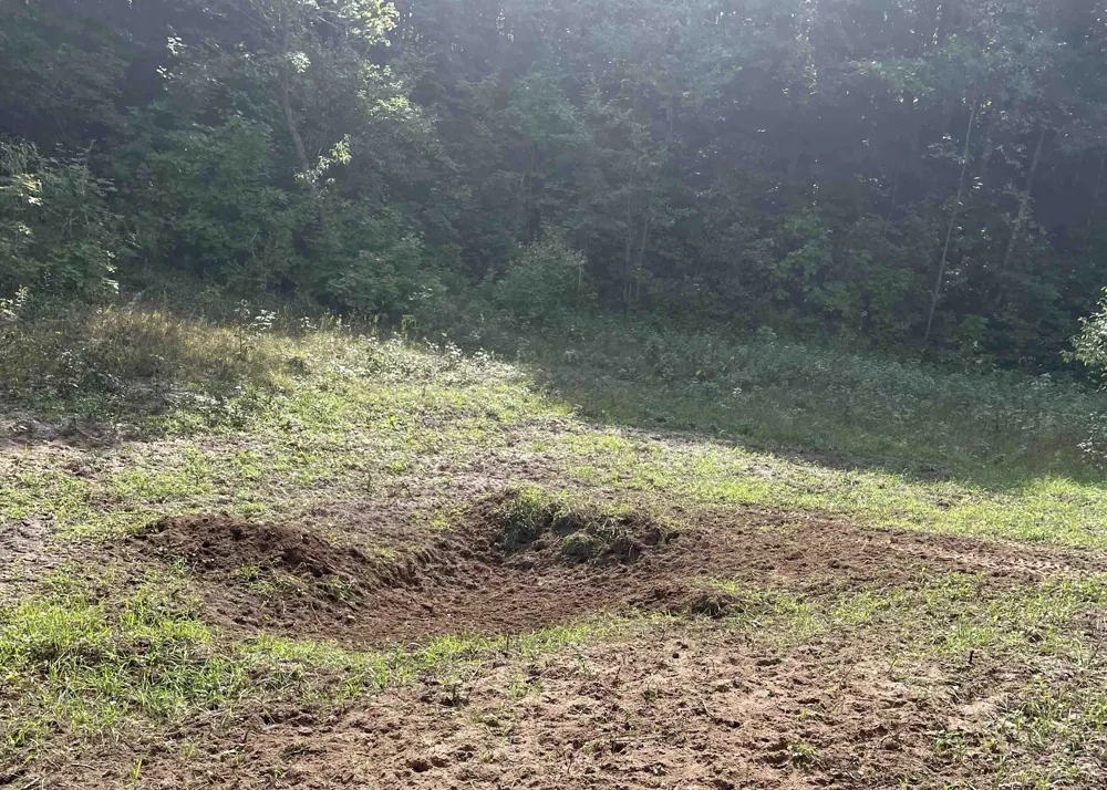 Peterson Road Custer Township, MI 49659