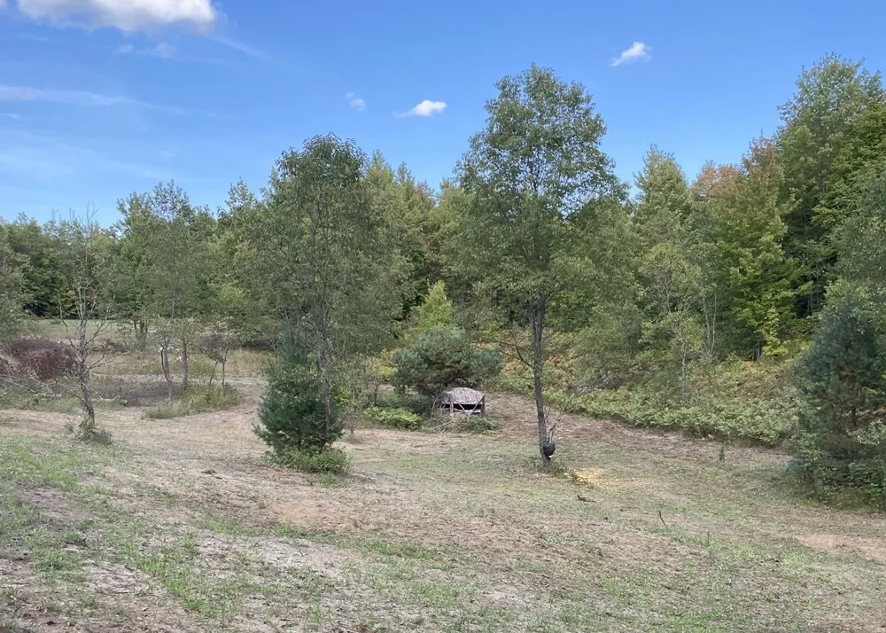 Peterson Road Custer Township, MI 49659