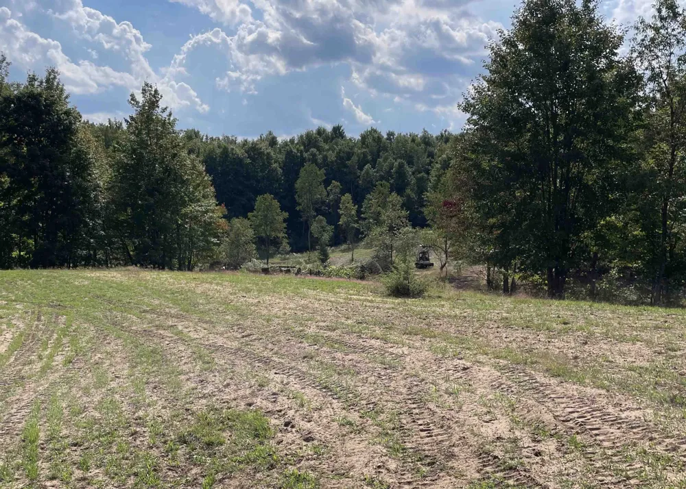 Peterson Road Custer Township, MI 49659