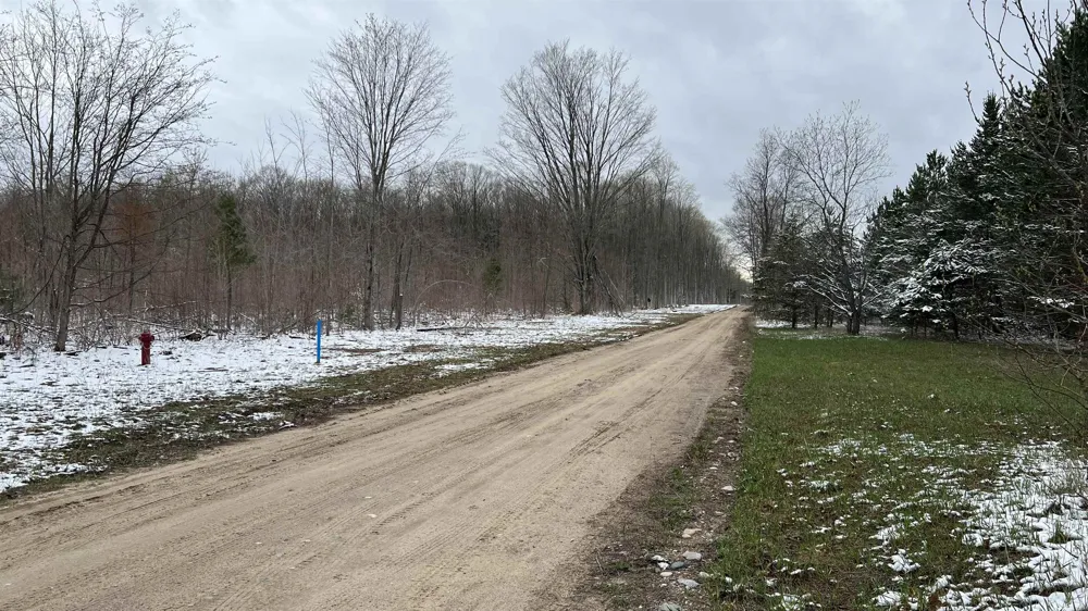 Peterson Road Custer Township, MI 49659