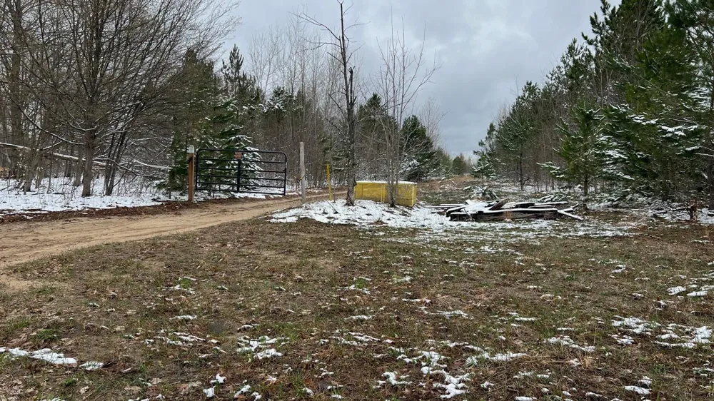 Peterson Road Custer Township, MI 49659